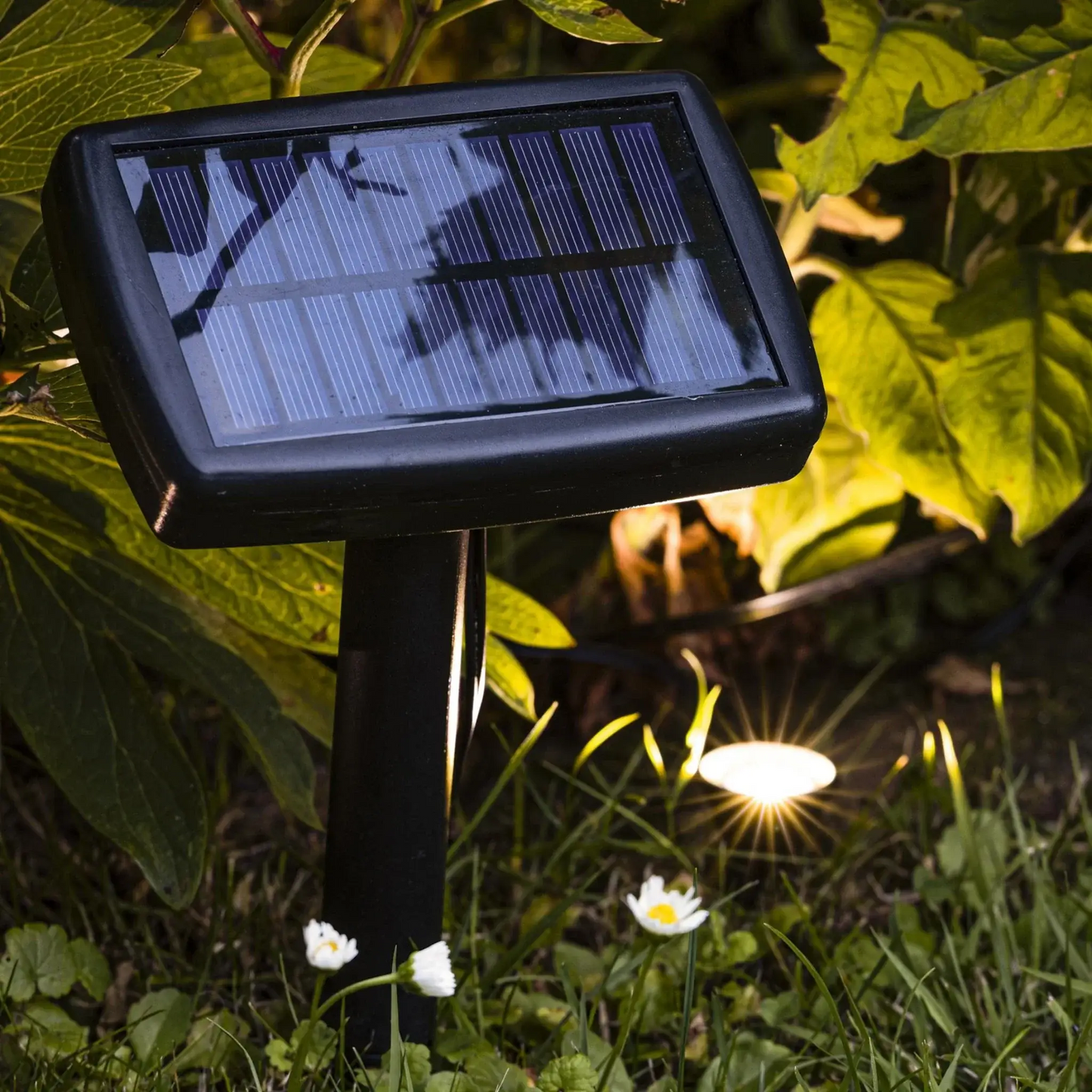 Solarlampen Solarleuchten Gartenbeleuchtung Pflanzstrahler Balkon Kübel Garten 10x LED